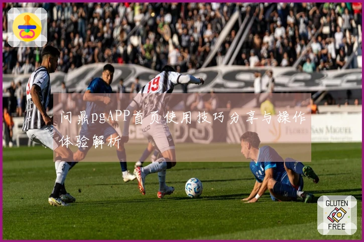 问鼎pgAPP首页使用技巧分享与操作体验解析