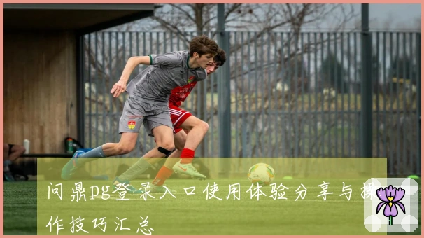 问鼎pg登录入口使用体验分享与操作技巧汇总